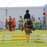 dipe_4456