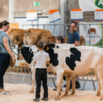 210904-Foire.agricole-120