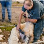 210904-Foire.agricole-164