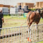 Foire Agricole Battice - final-102-min
