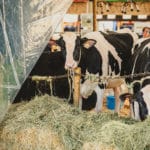 Foire Agricole Battice - final-128