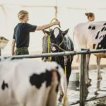 Foire Agricole Battice - final-129