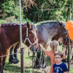 Foire Agricole Battice - final-143