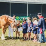 Foire Agricole Battice - final-146