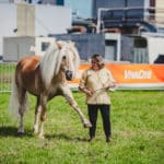 Foire Agricole Battice - final-154