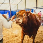 Foire Agricole Battice - final-160