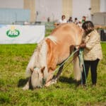 Foire Agricole Battice - final-173