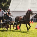 Foire Agricole Battice - final-175
