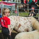 Foire Agricole Battice - final-181