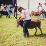 Foire Agricole Battice - final-2-min