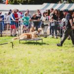 Foire Agricole Battice - final-46-min