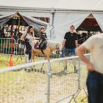 Foire Agricole Battice - final-50-min