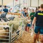 Foire Agricole Battice - final-58-min