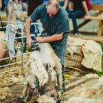 Foire Agricole Battice - final-59-min