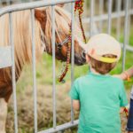 Foire Agricole Battice - final-6-min
