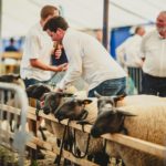 Foire Agricole Battice - final-60-min