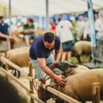 Foire Agricole Battice - final-61-min