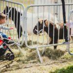 Foire Agricole Battice - final-8-min