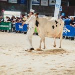 Foire Agricole Battice - final-82-min