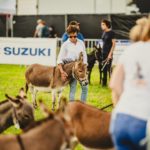 Foire Agricole - jour 1 - rush aperçus-1-min