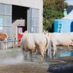 250906-FoireAgricoleBattice-HD-029