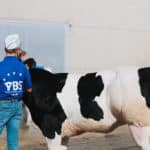 250906-FoireAgricoleBattice-HD-030