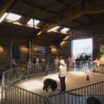 250906-FoireAgricoleBattice-HD-052