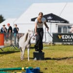 250906-FoireAgricoleBattice-HD-081