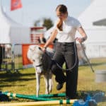 250906-FoireAgricoleBattice-HD-082