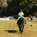 250906-FoireAgricoleBattice-HD-089