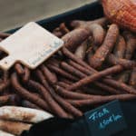 250906-FoireAgricoleBattice-HD-105