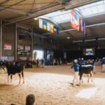 250906-FoireAgricoleBattice-HD-123