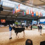 250906-FoireAgricoleBattice-HD-125