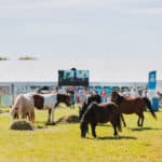 250906-FoireAgricoleBattice-HD-136