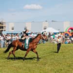 250906-FoireAgricoleBattice-HD-144