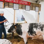250906-FoireAgricoleBattice-HD-147