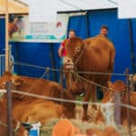 250906-FoireAgricoleBattice-HD-151