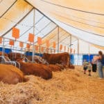 250906-FoireAgricoleBattice-HD-153