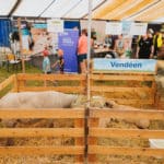 250906-FoireAgricoleBattice-HD-156