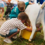 250906-FoireAgricoleBattice-HD-159
