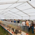 250906-FoireAgricoleBattice-HD-169