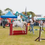 250906-FoireAgricoleBattice-HD-205