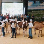 250906-FoireAgricoleBattice-HD-214